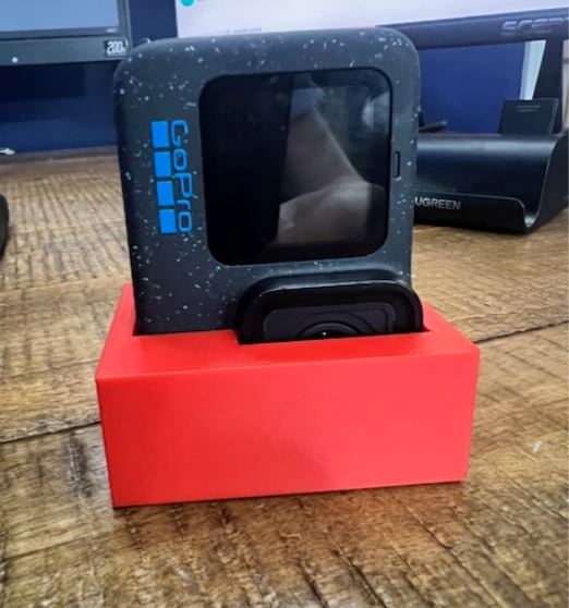 Go Pro